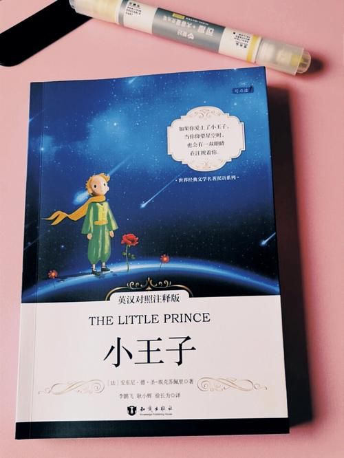 上天送我一个王子童话故事成真了