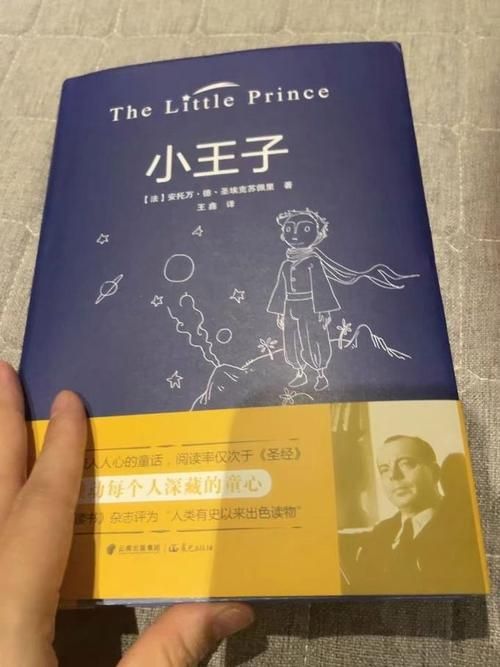 上天送我一个王子童话故事成真了