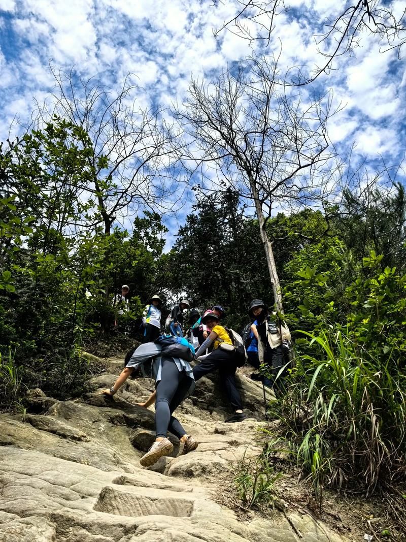 上山下山游戏玩法介绍 简单易懂的入门指南