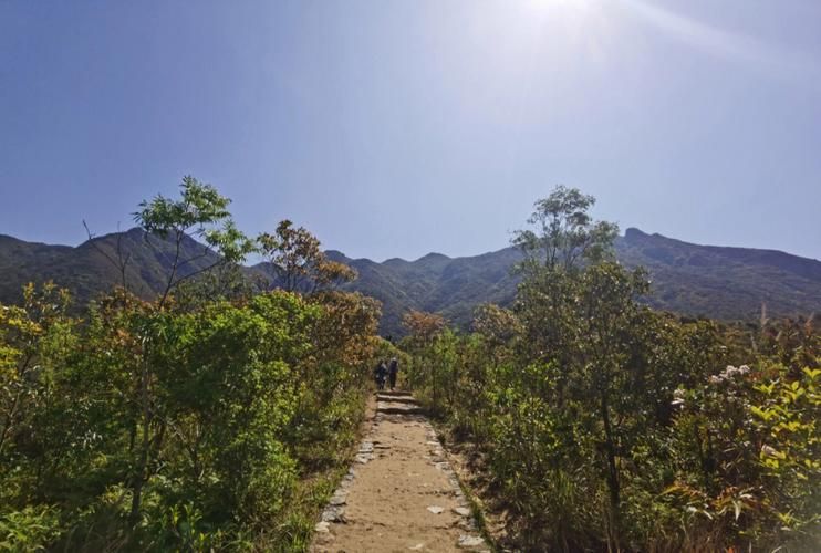 上山下山游戏玩法介绍 简单易懂的入门指南