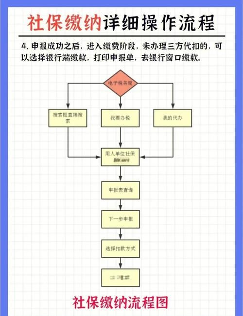 上海社保一网通办怎么操作 手把手教你轻松搞定