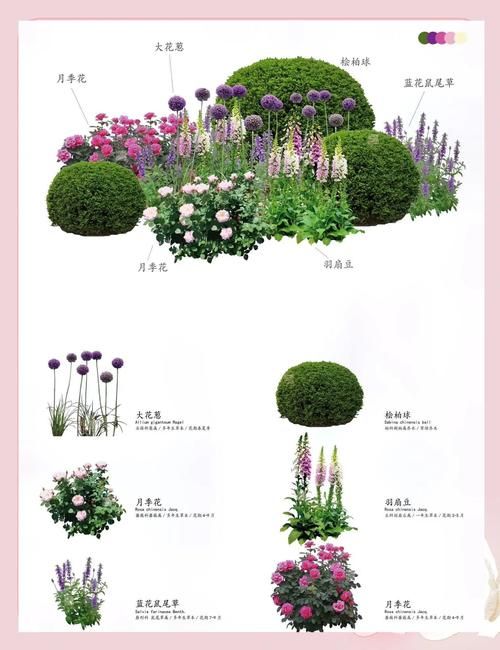 下列哪种植物适合夏天种植 这5种耐高温植物推荐