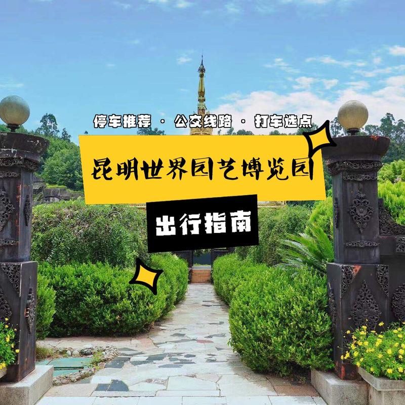 不知火舞之游乐园交通指南 轻松到达的路线与停车攻略