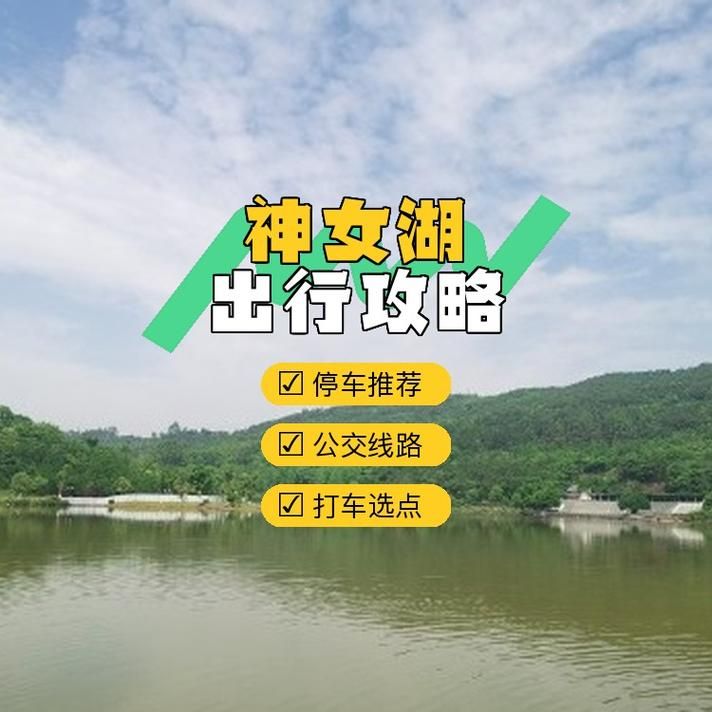 不知火舞之游乐园交通指南 轻松到达的路线与停车攻略