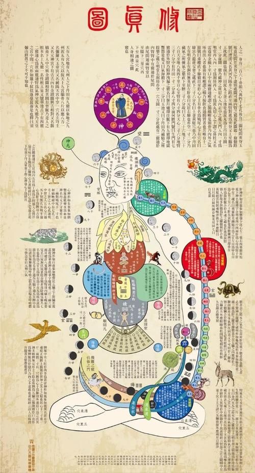 丐帮经脉修炼指南 九阴真经经脉系统详解