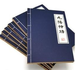 丐帮经脉修炼指南 九阴真经经脉系统详解