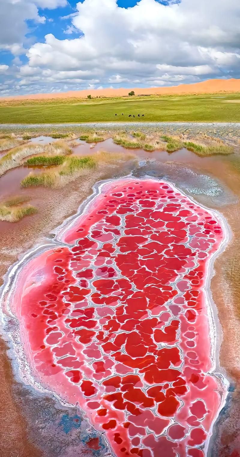 世界上最低的湖泊在哪里 带你探索地球最低点