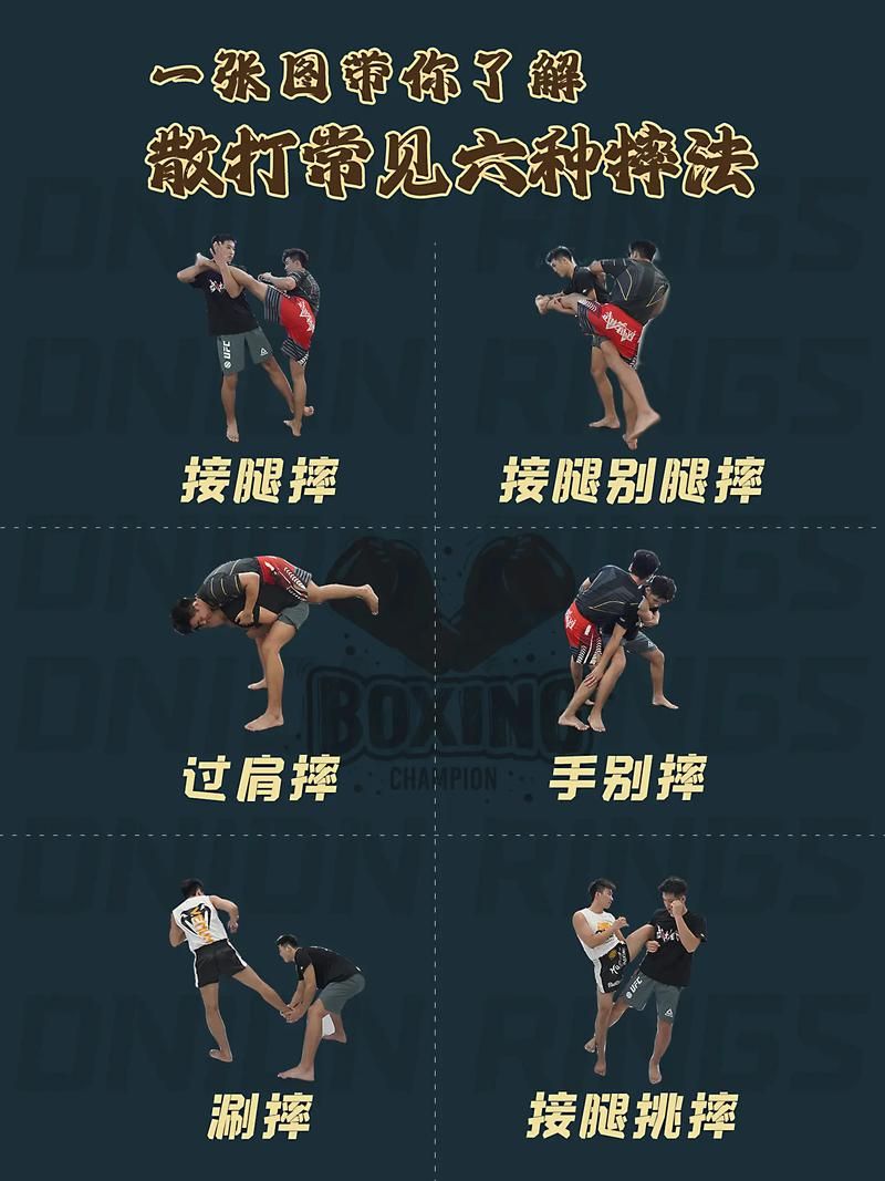 世界职业摔跤游戏攻略 新手快速上手技巧分享