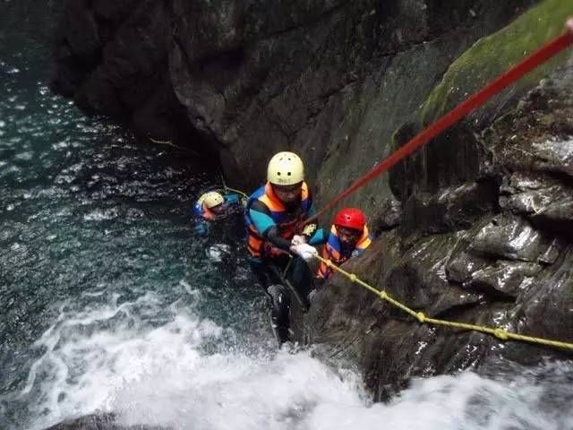 丛林之狐2中文版剧情介绍 带你体验刺激冒险