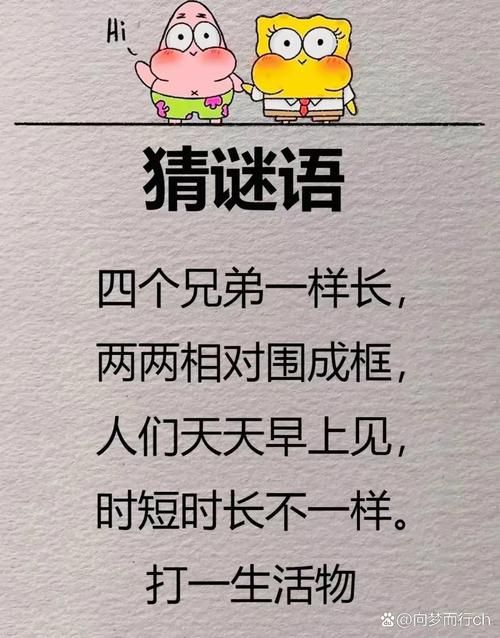 两雄相争打一生肖猜谜答案揭晓原来这么简单