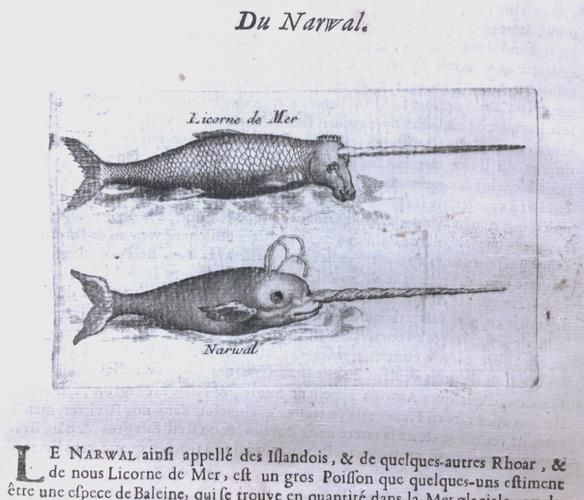 中世纪是什么时候的科技与艺术成就概述