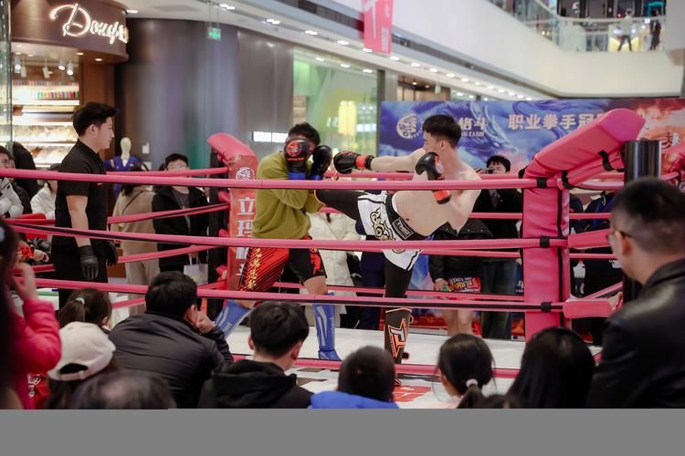 中国功夫vs泰拳五大招式实战比拼