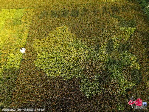 中国地图电子地图高清版下载 最新行政区划一目了然