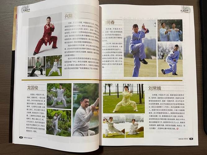 中国武术与泰拳大比拼哪个更适合你学