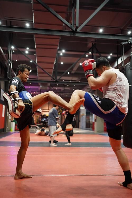 中国武术与泰拳大比拼哪个更适合你学