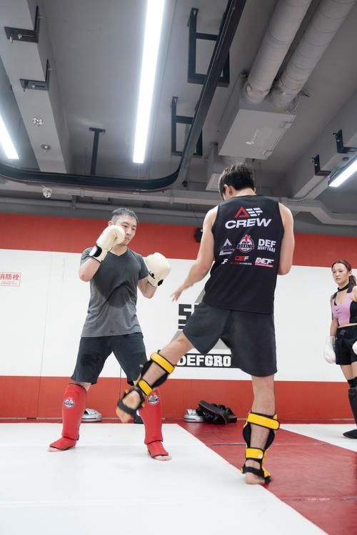 中国武术与泰拳大比拼哪个更适合你学