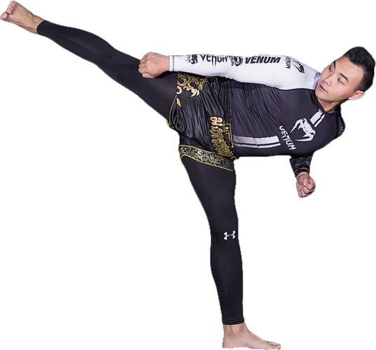 中国武术与泰拳大比拼哪个更适合你学