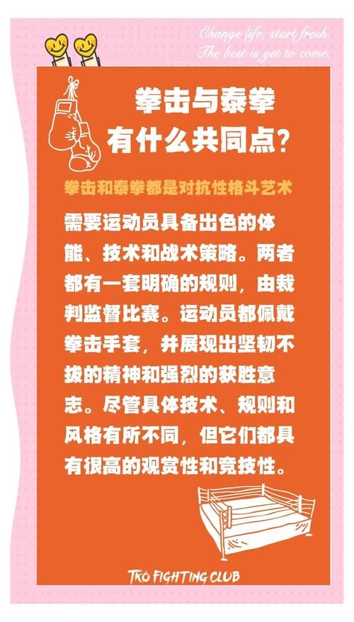 中国武术与泰拳大比拼哪个更适合你学
