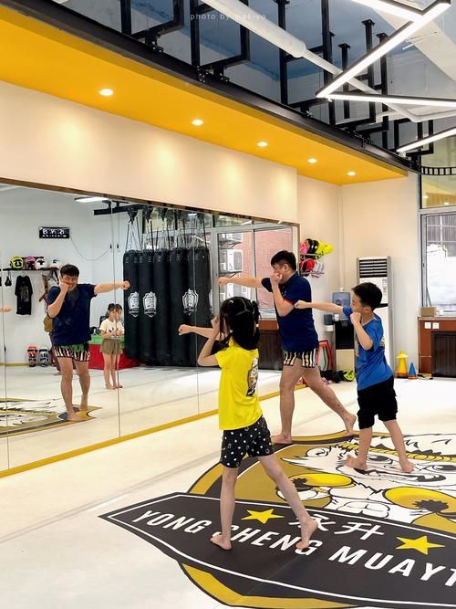 中国武术与泰拳大比拼哪个更适合你学