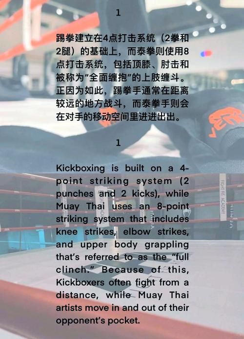 中国武术与泰拳大比拼哪个更适合你学