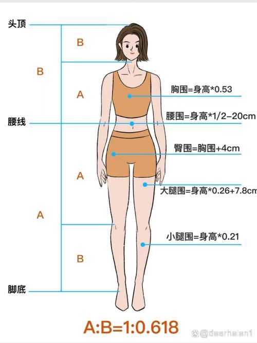 中国第一黄金比例大公开 你的身材达标了吗