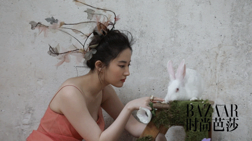 中秋节快乐表情包精选 嫦娥玉兔搞笑动图大全