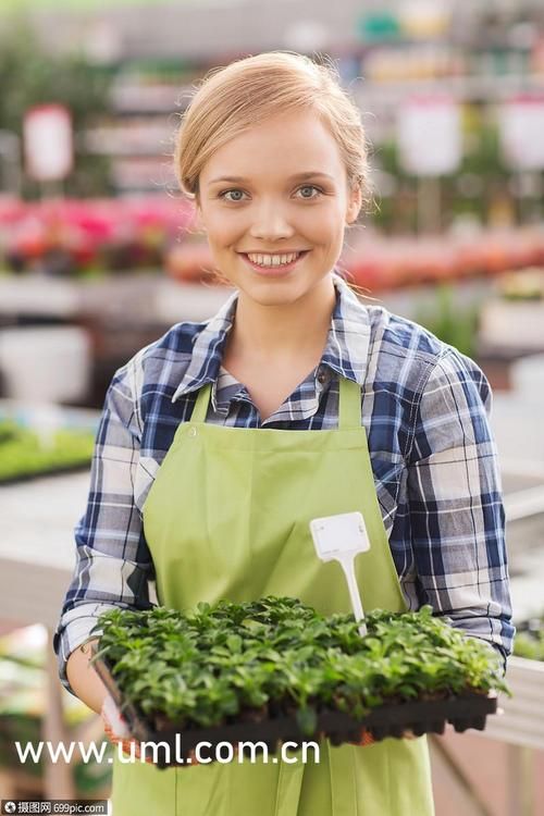 为什么26uuu打不开 常见问题解析