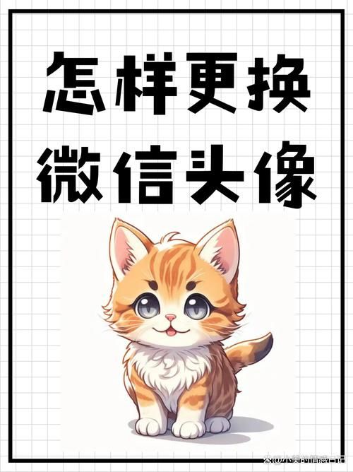 为什么不能换头像 详细步骤教你轻松解决