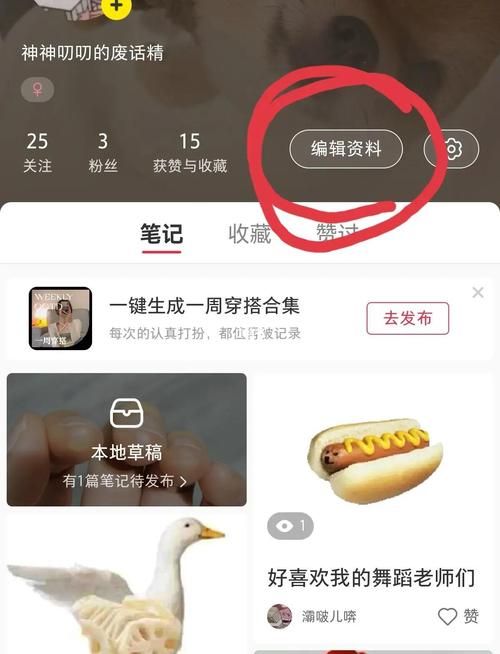 为什么不能换头像 详细步骤教你轻松解决