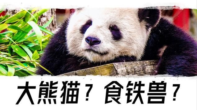 为什么大熊猫有食铁兽之称的动物这个外号