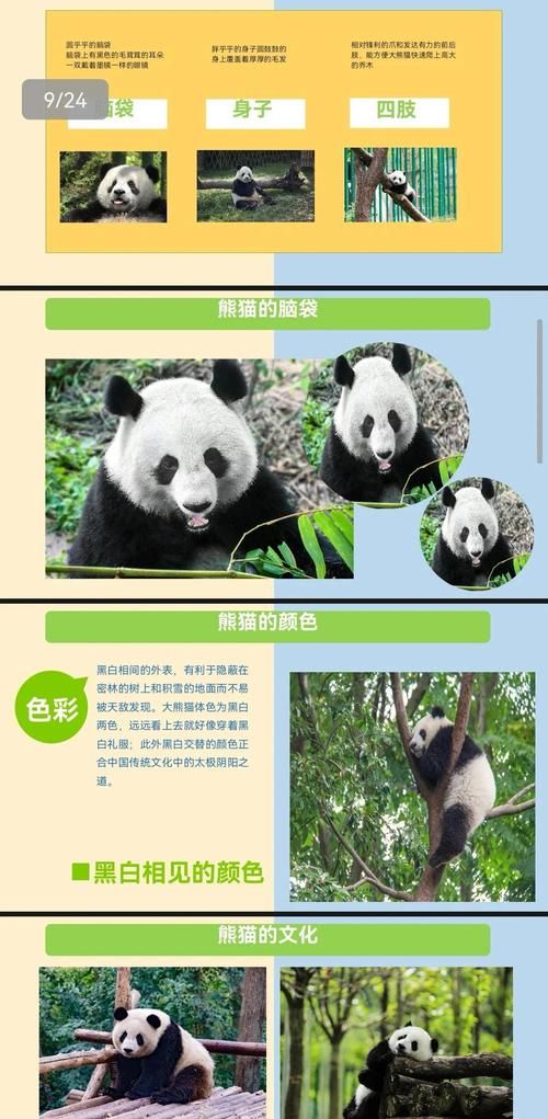 为什么大熊猫有食铁兽之称的动物这个外号