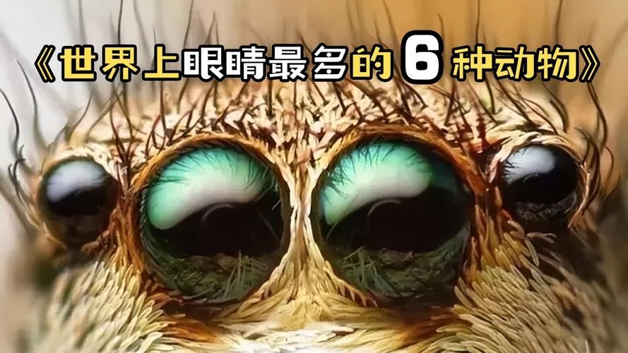 为什么有些动物是长方形瞳孔 这种瞳孔对它们有什么好处