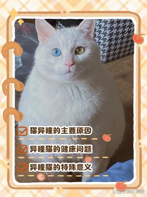 为什么有些动物是长方形瞳孔 这种瞳孔对它们有什么好处