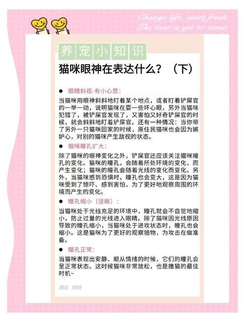 为什么有些动物是长方形瞳孔 这种瞳孔对它们有什么好处