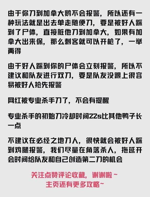 为什么杀手5已停止工作 游戏无法运行的解决办法