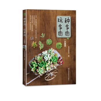 为什么登不上qq 最新解决方法一次搞定