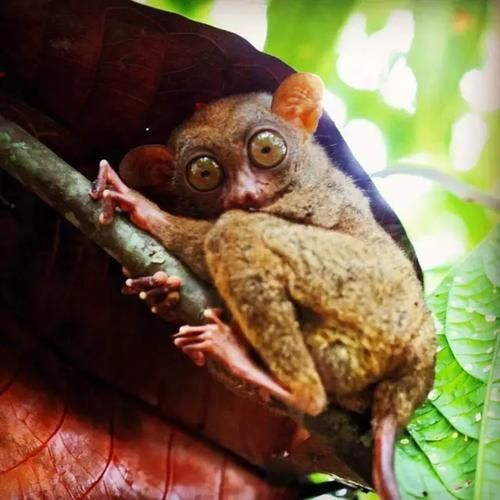 为什么登不上qq 最新解决方法一次搞定