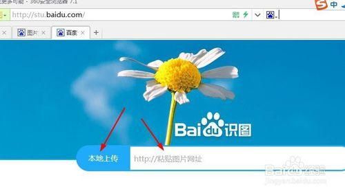 为什么百度图片无法显示 常见原因及解决办法