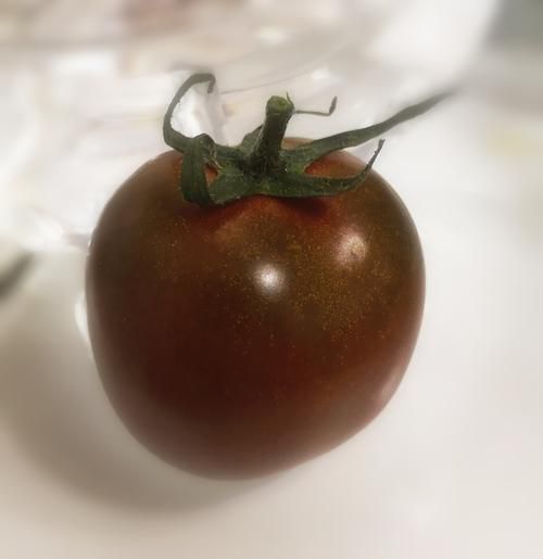 为什么讨厌老番茄 这些理由让人无法反驳