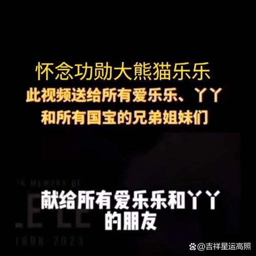 乐可是什么意思啊 网友都在问的解释