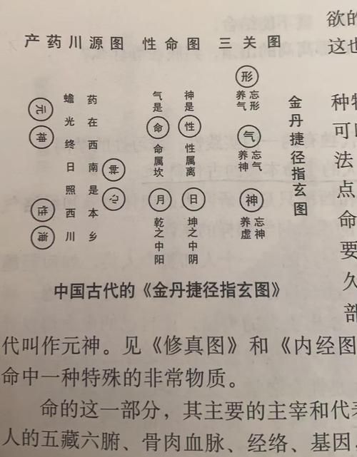 九阴真经初窥门径修炼方法与常见问题全解答