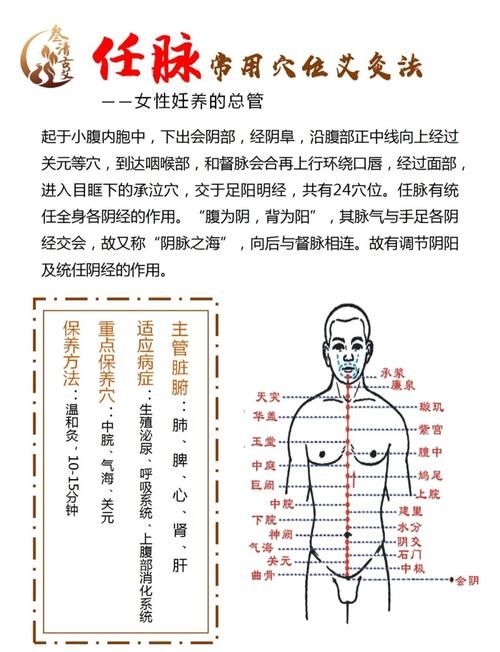 九阴真经唐门经脉选择指南 提升战力必备技巧