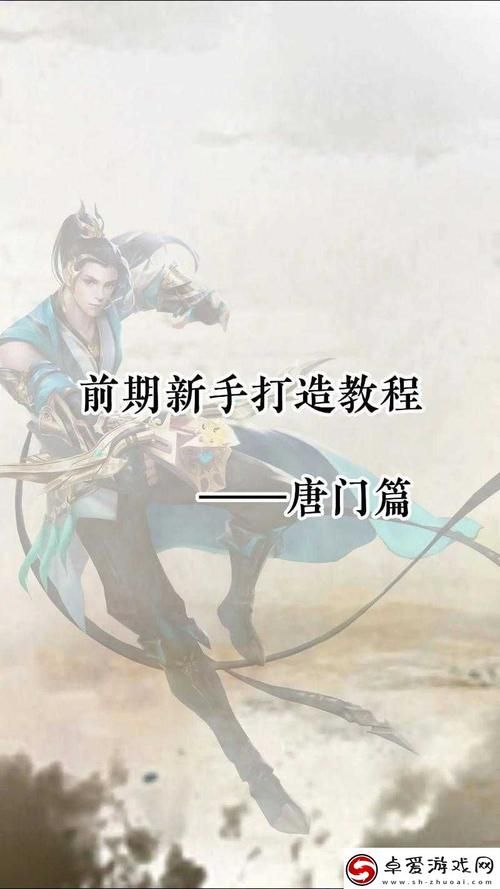 九阴真经唐门经脉选择指南 提升战力必备技巧