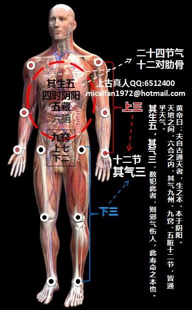 九阴真经怎么刷邪 快速获取邪气值的方法分享
