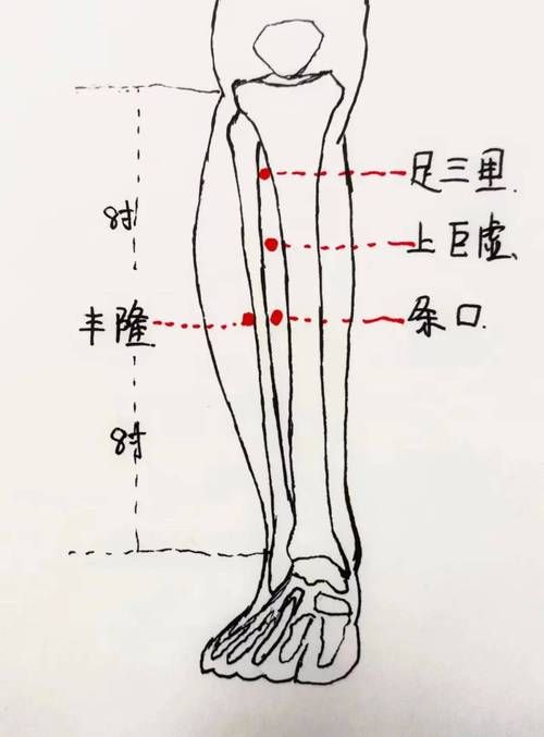 九阴真经招架教学 快速提升防御能力的方法