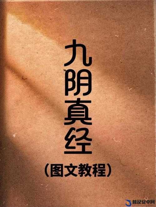 九阴真经武当4内值得练吗 武当四内强度与适用性解析