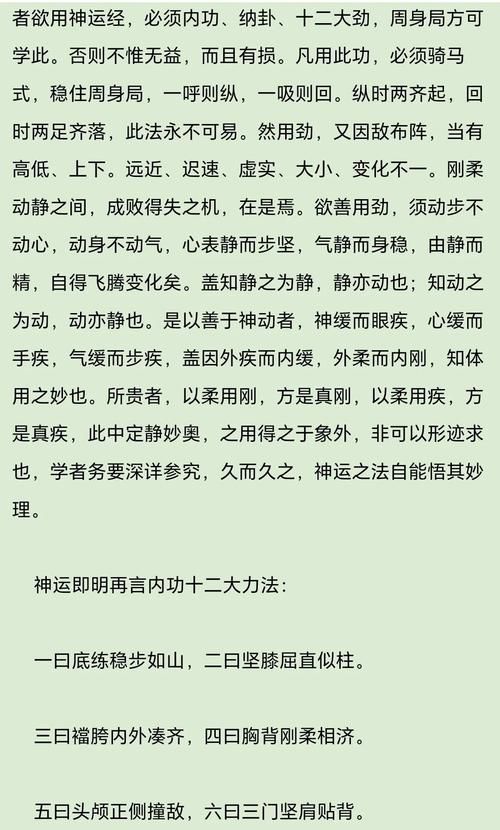 九阴真经武当4内值得练吗 武当四内强度与适用性解析