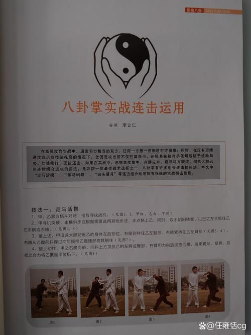 九阴真经武当二内修炼技巧 快速提升内功修为方法