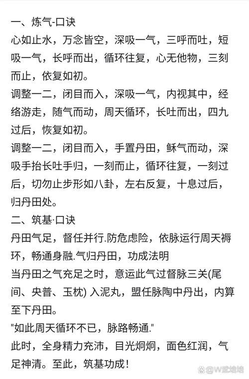 九阴真经登峰造极攻略 新手快速上手指南与实战技巧