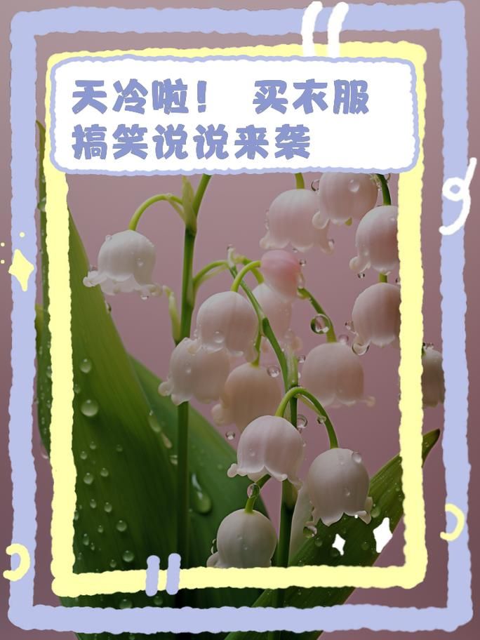 买了否冷什么意思网络用语解析一看就懂